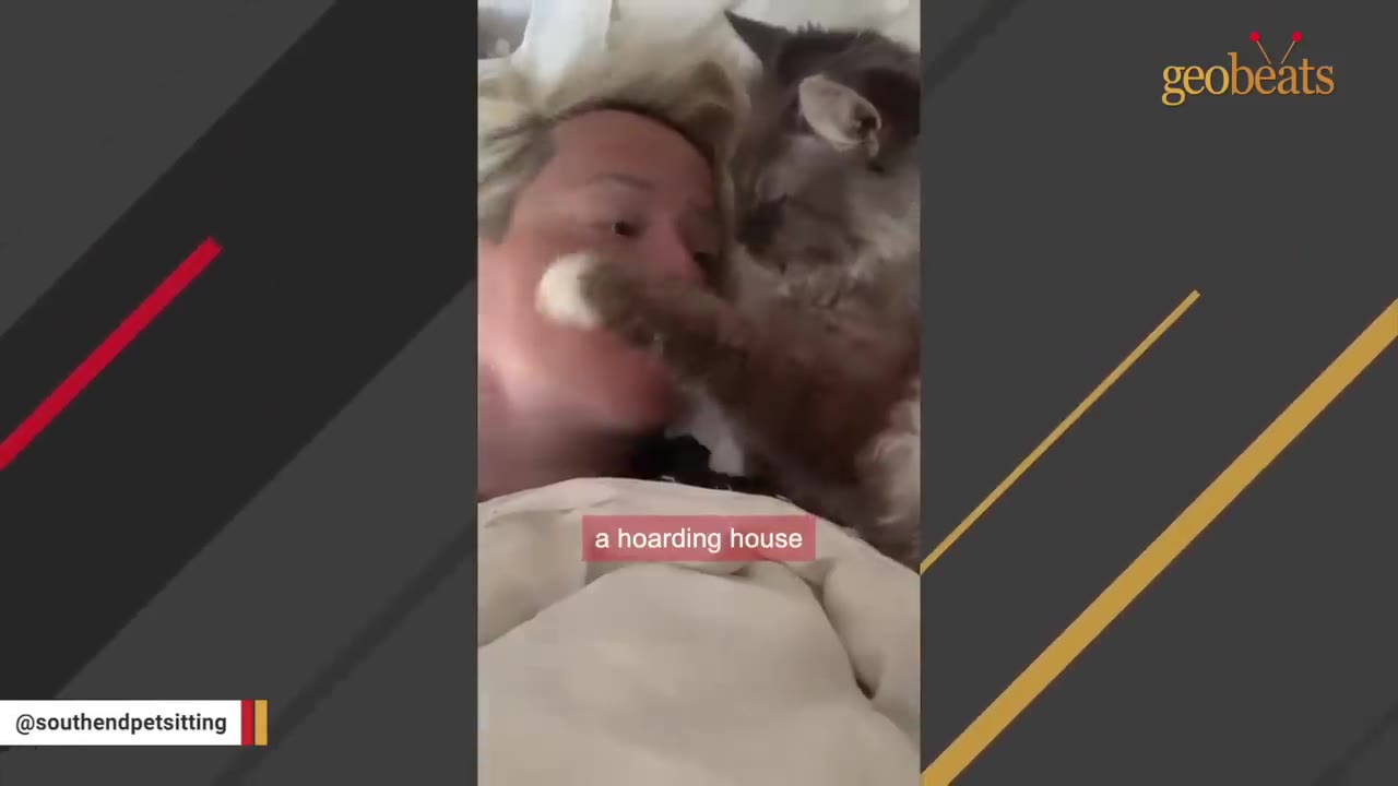 A woman lying in bed cuddling with a fluffy grey cat, with a subtitle that reads 'a hoarding house'.