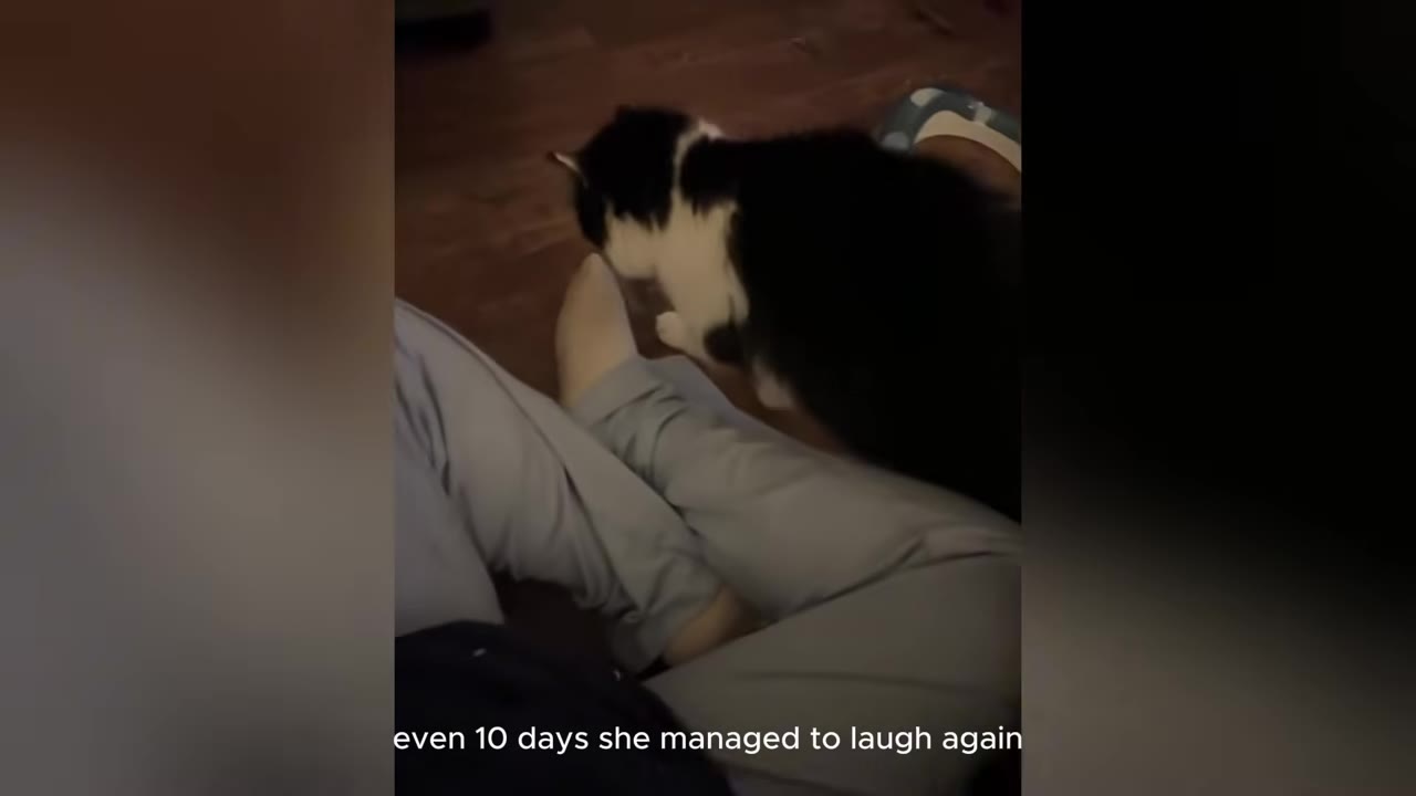 A black and white cat sniffing a person's leg as they sit on the floor.