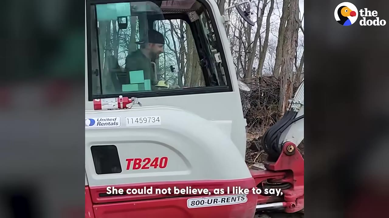 A man wearing a baseball cap sits inside the cab of a white and red construction vehicle.