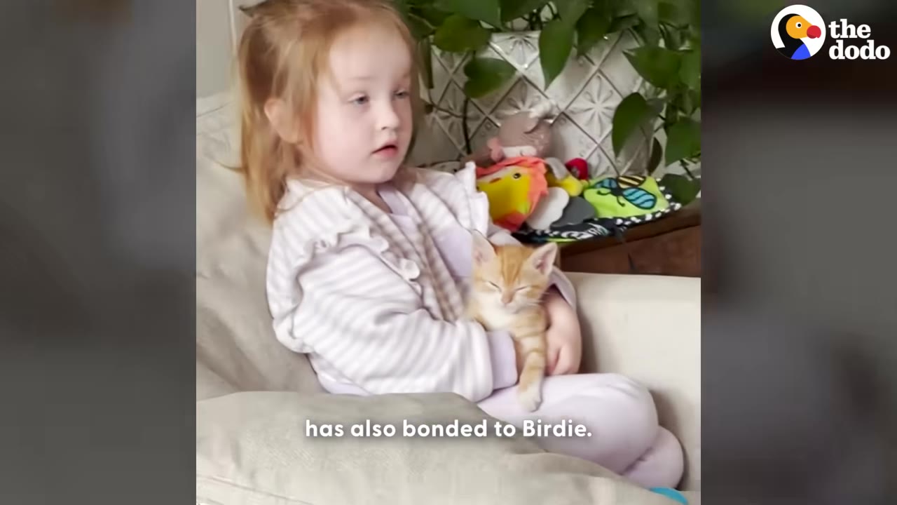 A young girl with reddish-blonde hair sits in a chair, gently cradling a small orange tabby kitten that is sleeping peacefully in her arms.