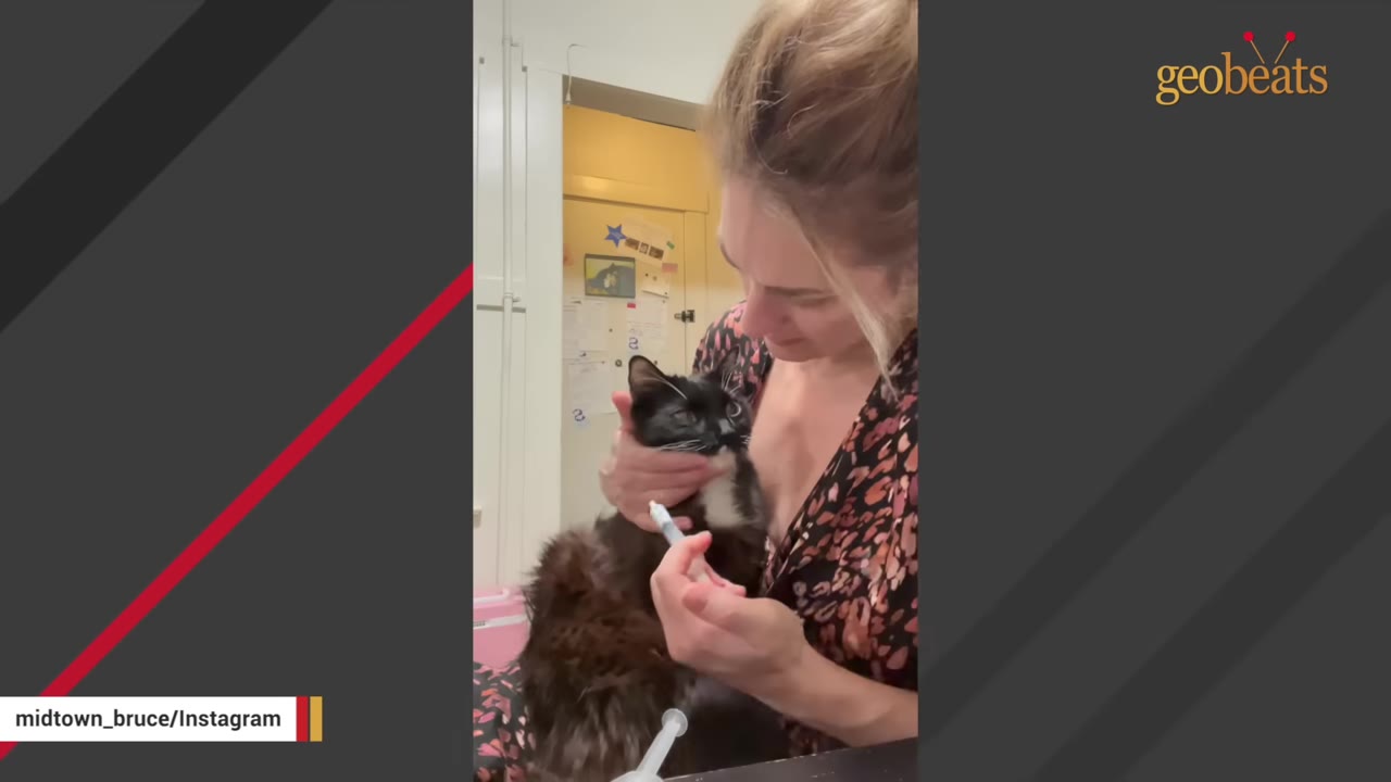 A woman with blonde hair tied up holds a black and white cat while holding a syringe to administer medicine.