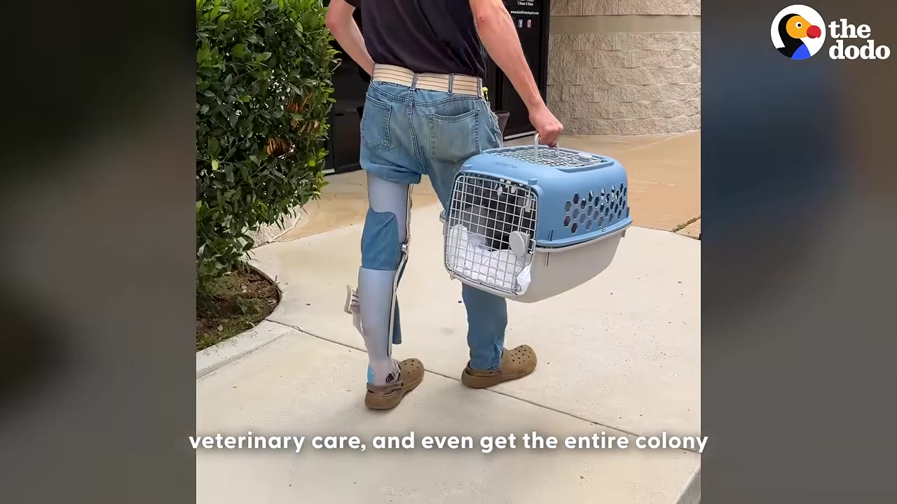 A person with a prosthetic leg walks down a sidewalk carrying a blue and white pet carrier containing a cat.
