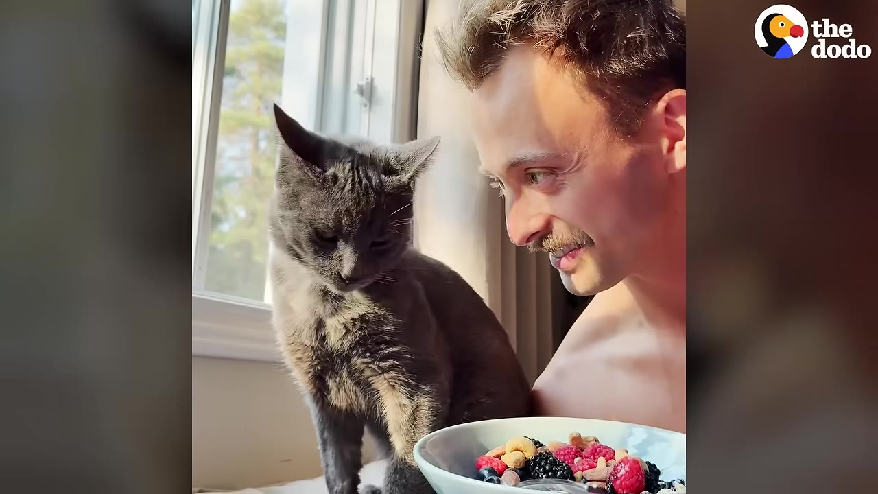 A grey cat sits on a window sill next to a man who is smiling at it, with a bowl of berries and nuts in the foreground.