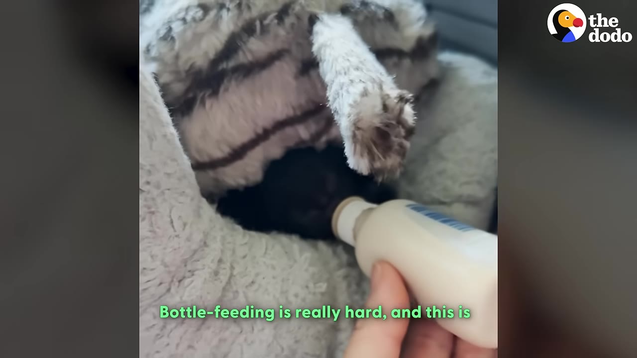 Video frame for Finding Their Rhythm