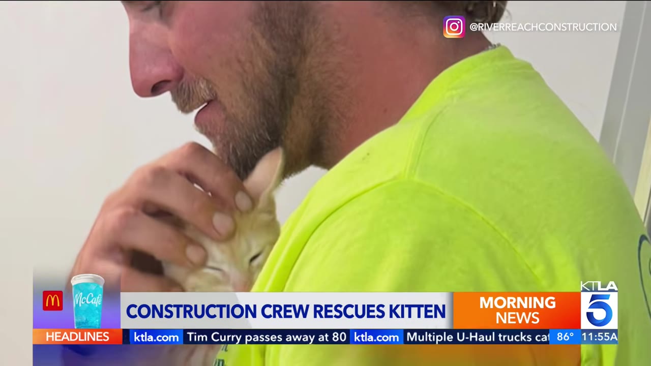 A close-up of a man in a bright yellow shirt gently holding and petting a small, light-colored kitten close to his face.