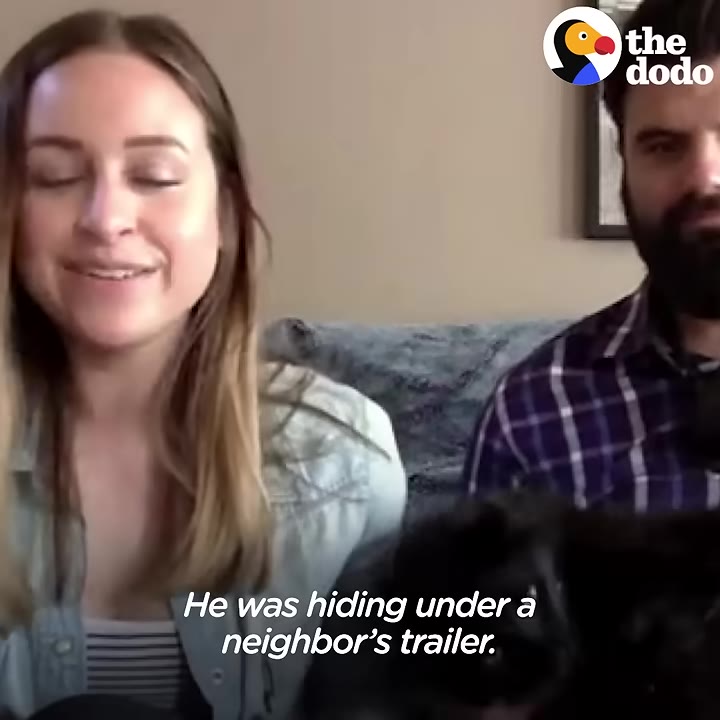 A woman with light brown hair and a denim shirt speaks next to a man in a plaid shirt, with a caption that reads, 'He was hiding under a neighbor's trailer.'
