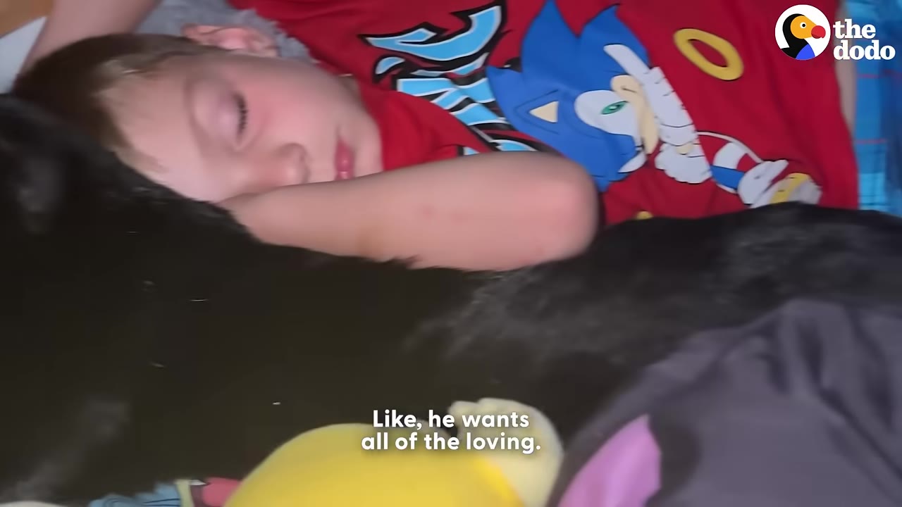 A young boy in a red Sonic the Hedgehog t-shirt sleeping peacefully next to a large black cat.