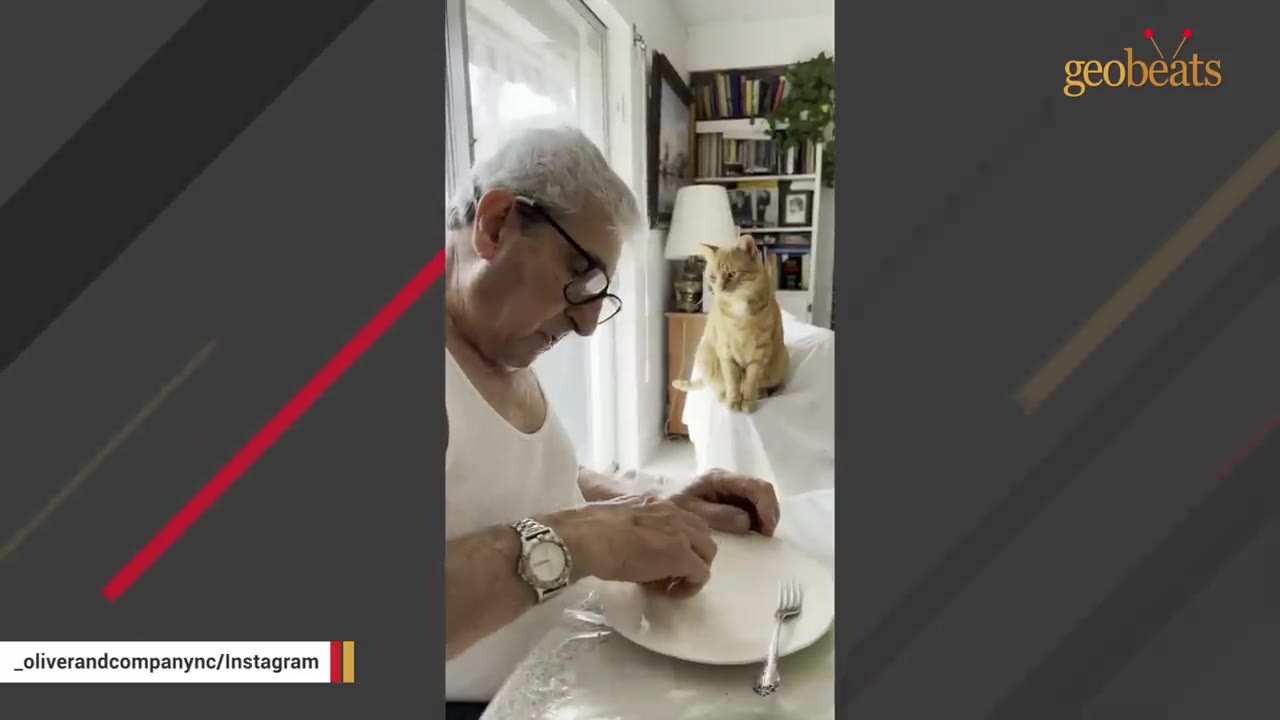 An older man with glasses and a white tank top sits at a dining table, while an orange cat sits on the back of a nearby chair watching him.