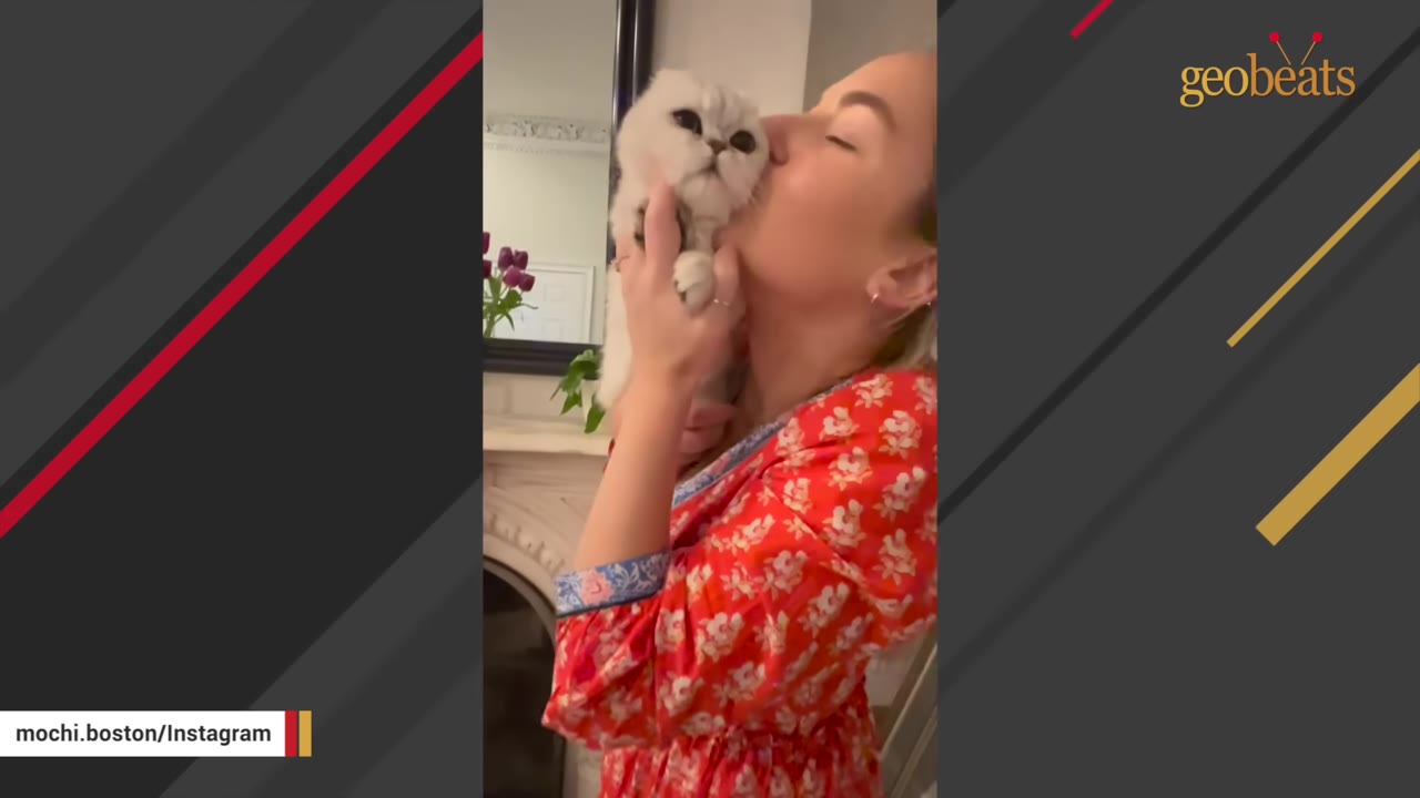 A woman in a red floral dress holds a fluffy white cat close to her face and kisses its cheek.