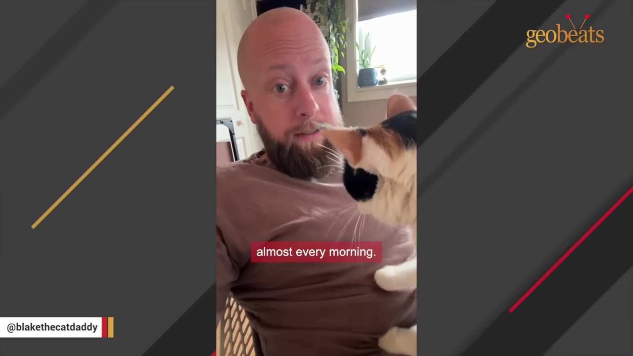A bald man with a beard looks at the camera with wide eyes as a calico cat reaches up towards his face.