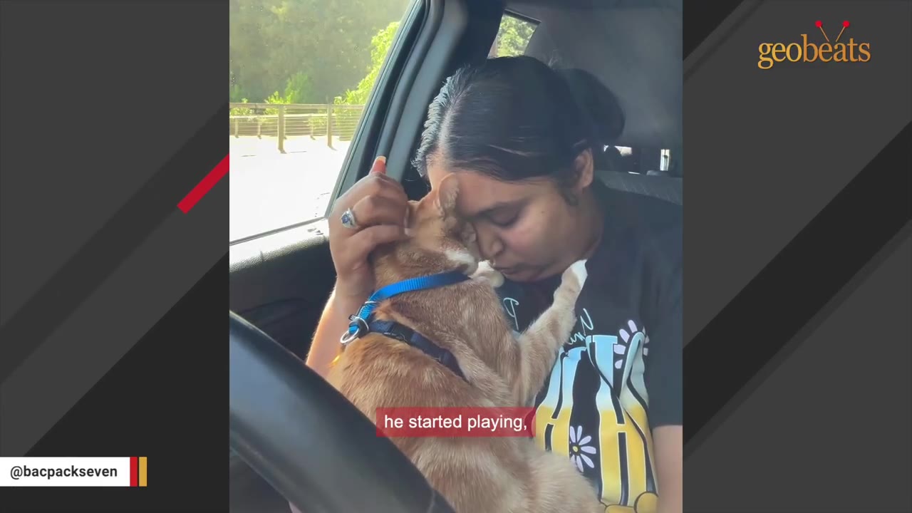A woman in a car gently presses her forehead against an orange cat she is holding in her lap.