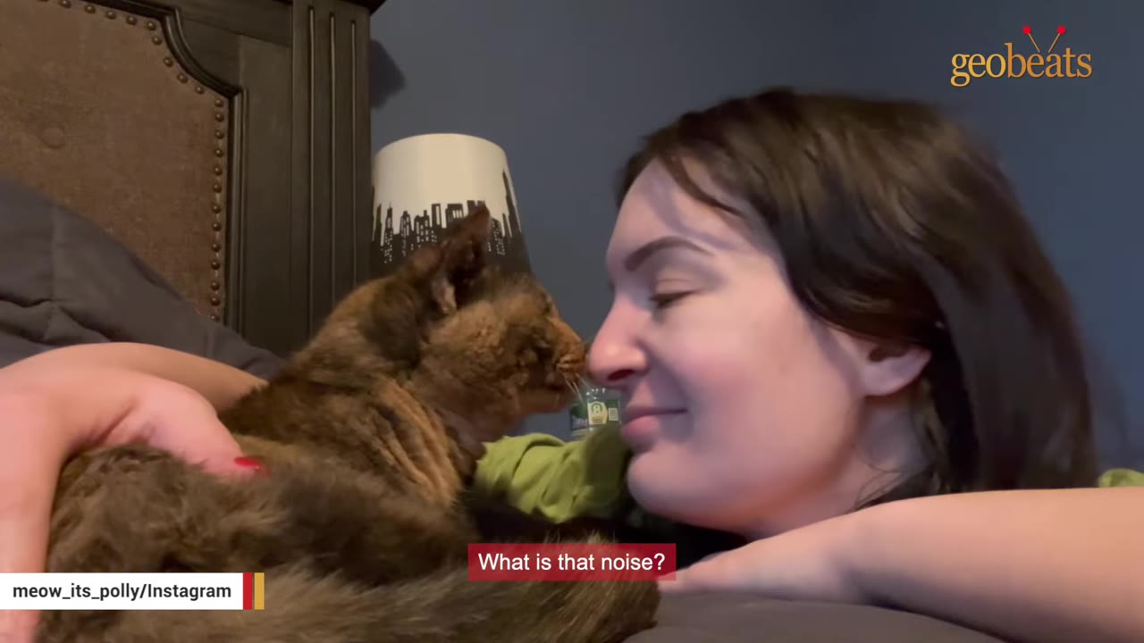 A woman lies down and smiles as she touches noses with a fluffy tortoiseshell cat.