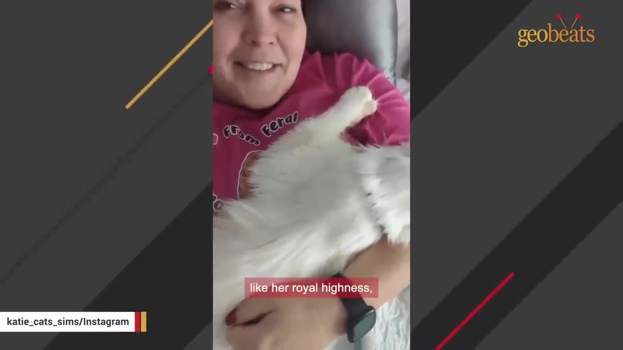 A smiling woman in a pink shirt holds a fluffy white cat on her chest.