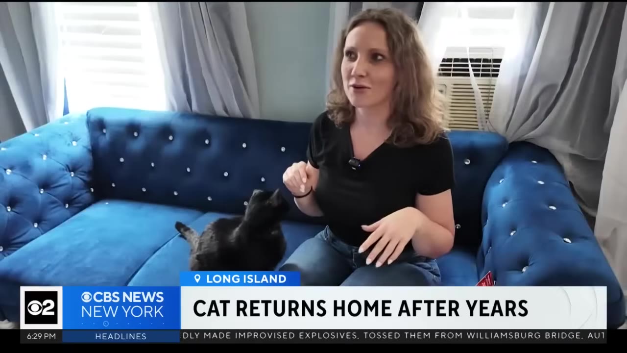 A woman sitting on a blue tufted sofa next to a black cat looking up at her.