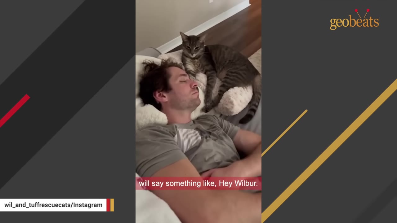 A man lying down with his eyes closed while a tabby cat rests on a pillow right next to his head.