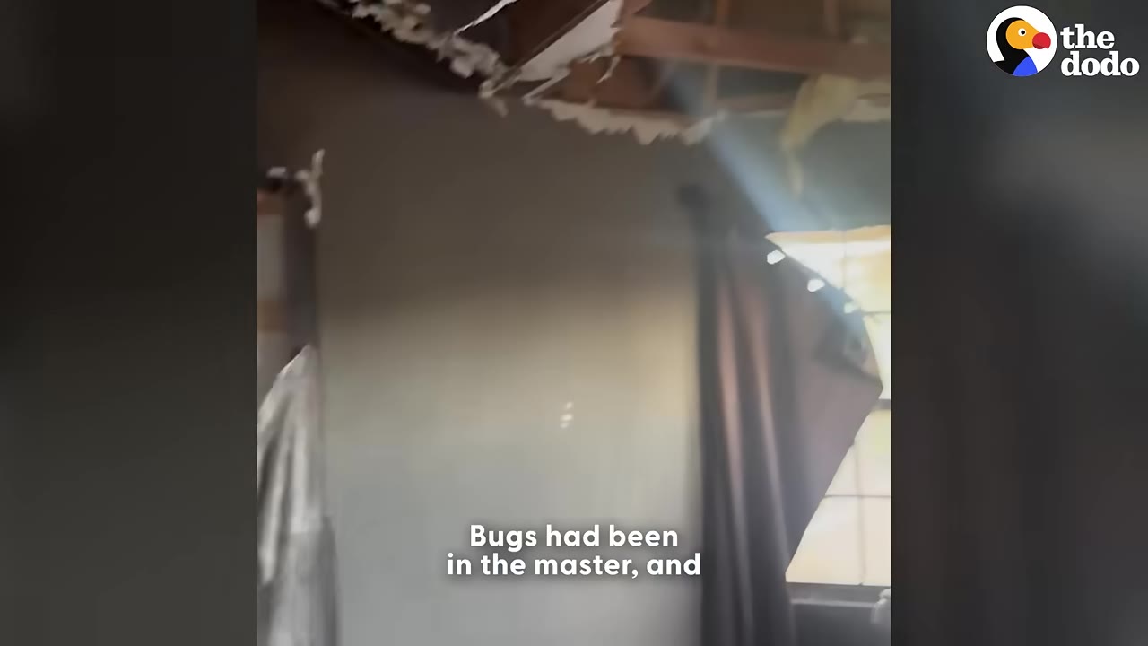 A bedroom with fire damage, showing a partially destroyed ceiling with exposed wooden beams and insulation.