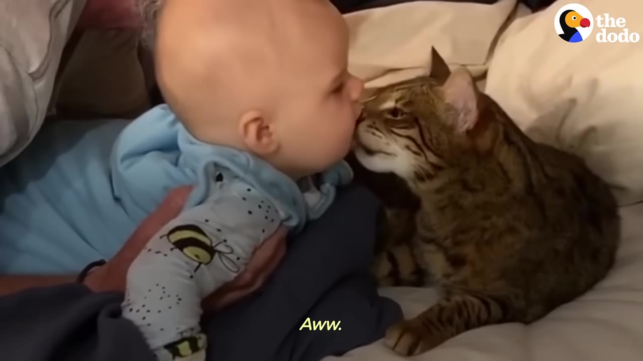 A baby in blue pajamas and a tabby cat touching noses on a bed.
