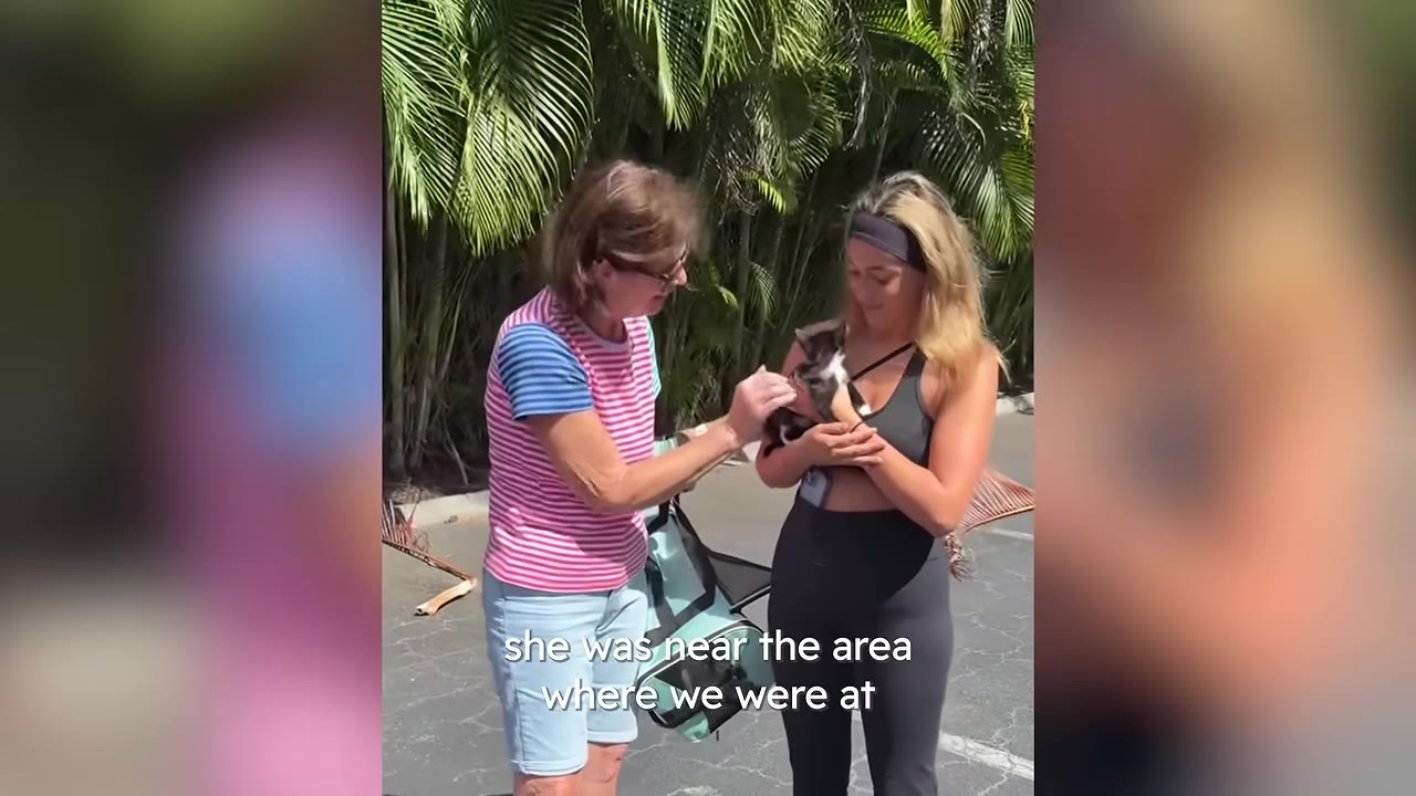 An older woman in a striped shirt meets a young woman in athletic wear who is holding a small black and white kitten outdoors.
