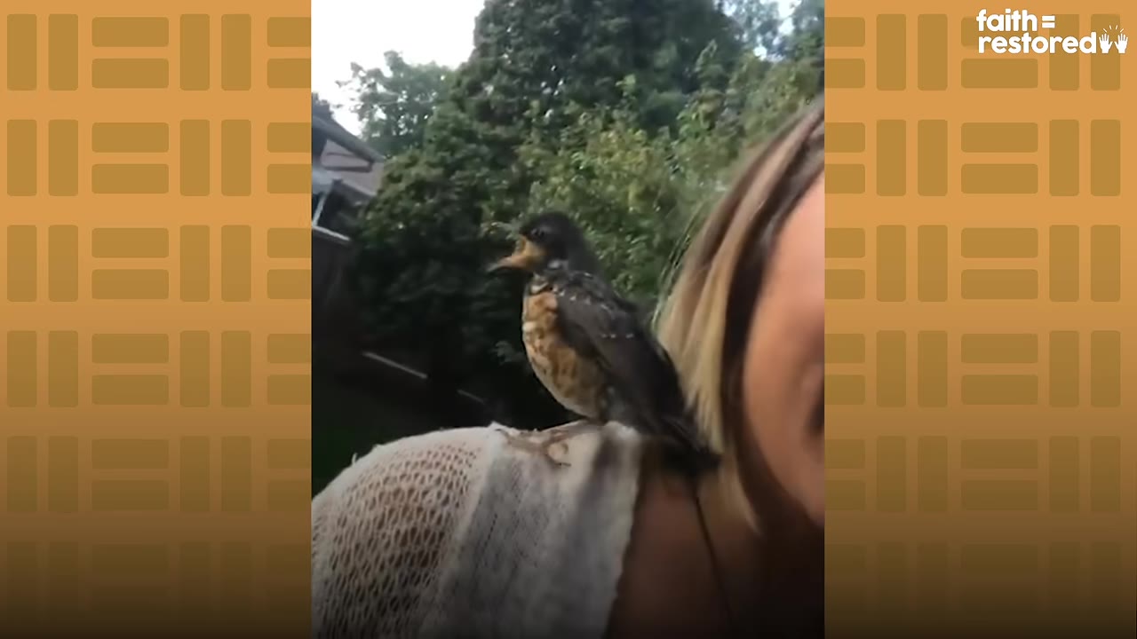 A small young robin perched on the shoulder of a woman outdoors with green trees in the background.