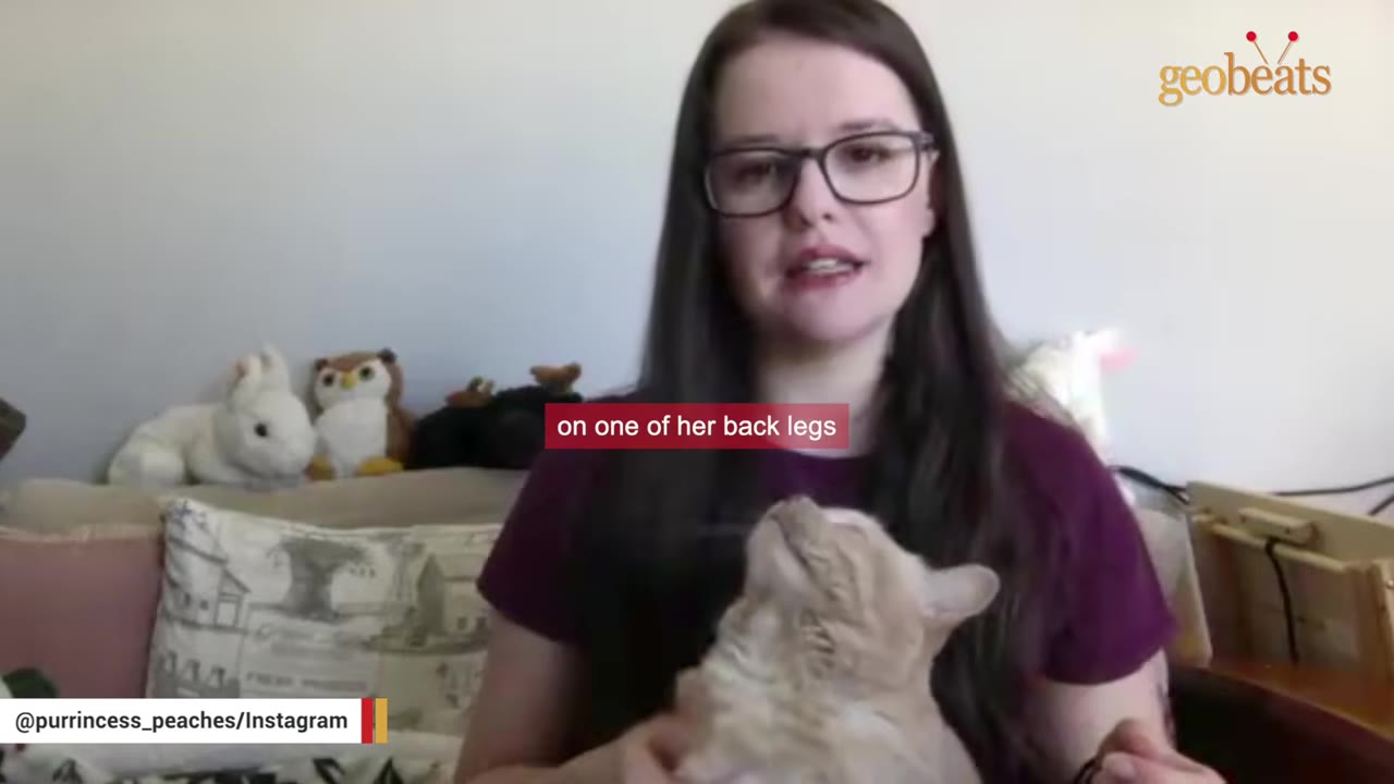 A woman with glasses and long dark hair holds an orange cat while speaking, with a subtitle reading 'on one of her back legs'.