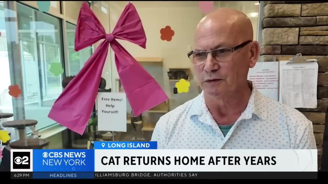 A bald man with glasses wearing a white patterned shirt stands in front of a window decorated with a large pink bow.