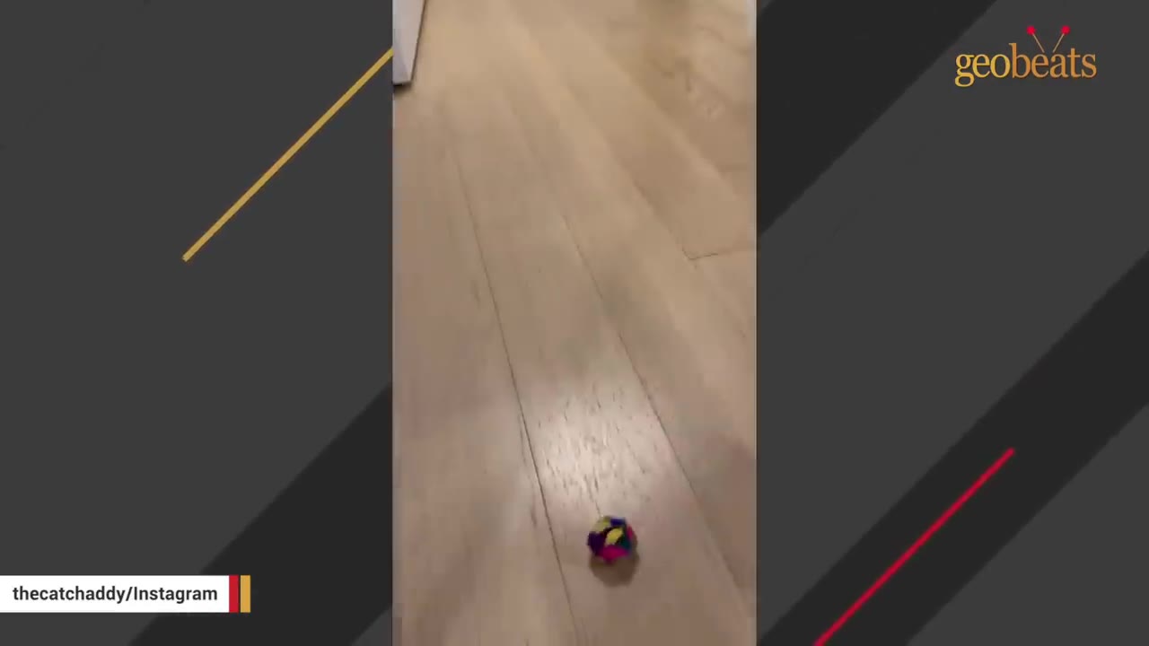 A small, colorful toy ball sits on a light-colored wooden floor.