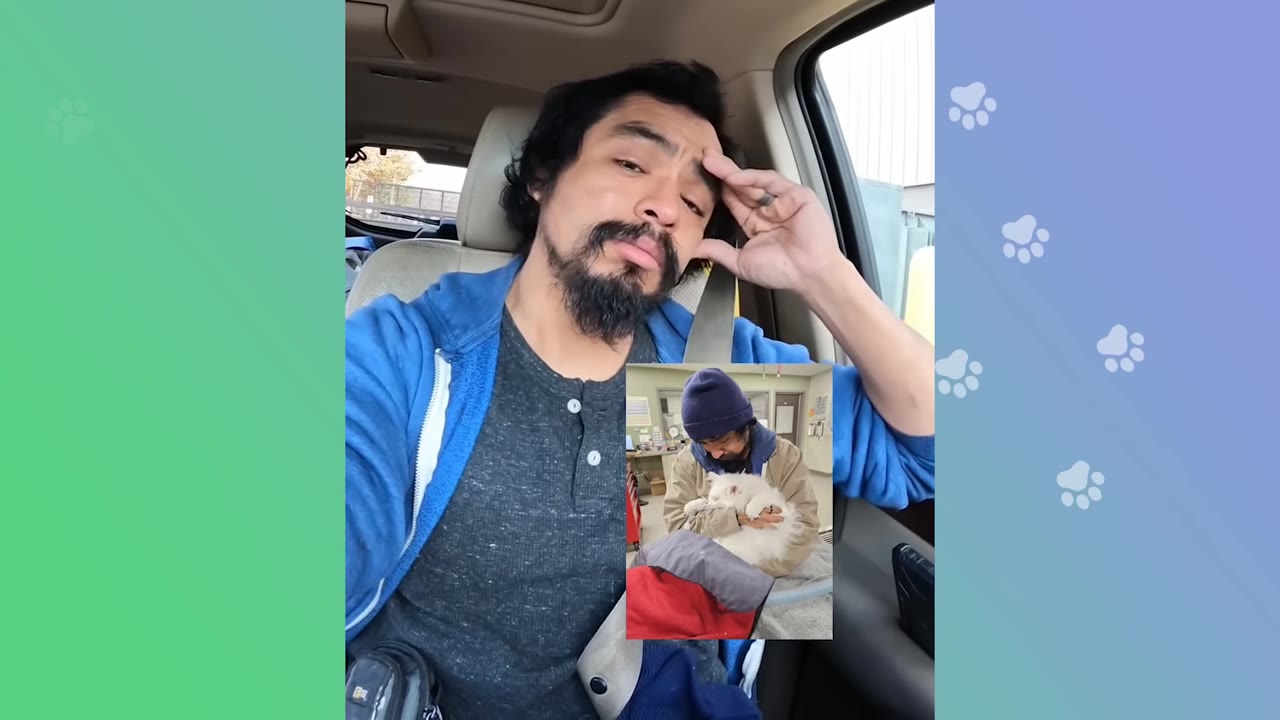 A worried man in a blue hoodie sits in a car with his hand on his forehead, next to an inset photo of him holding a fluffy white cat in a veterinary clinic.