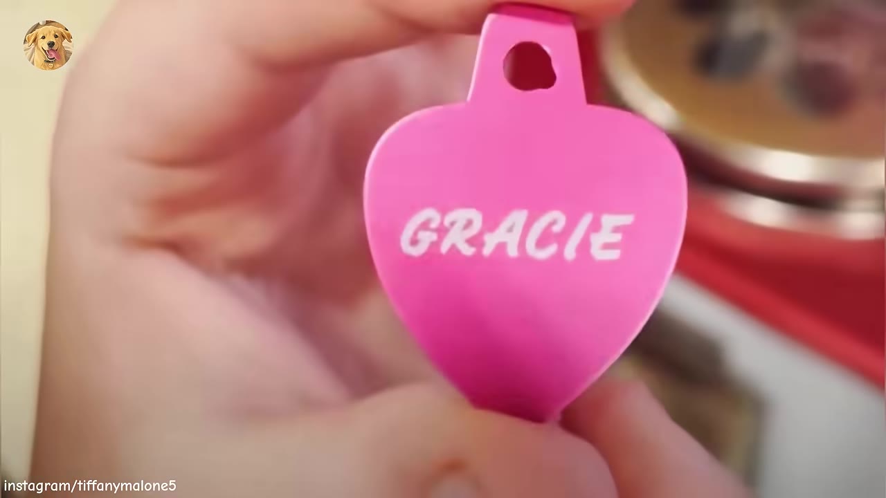 A close-up shot of a hand holding a pink, heart-shaped pet ID tag with the name 'GRACIE' printed on it in white letters.