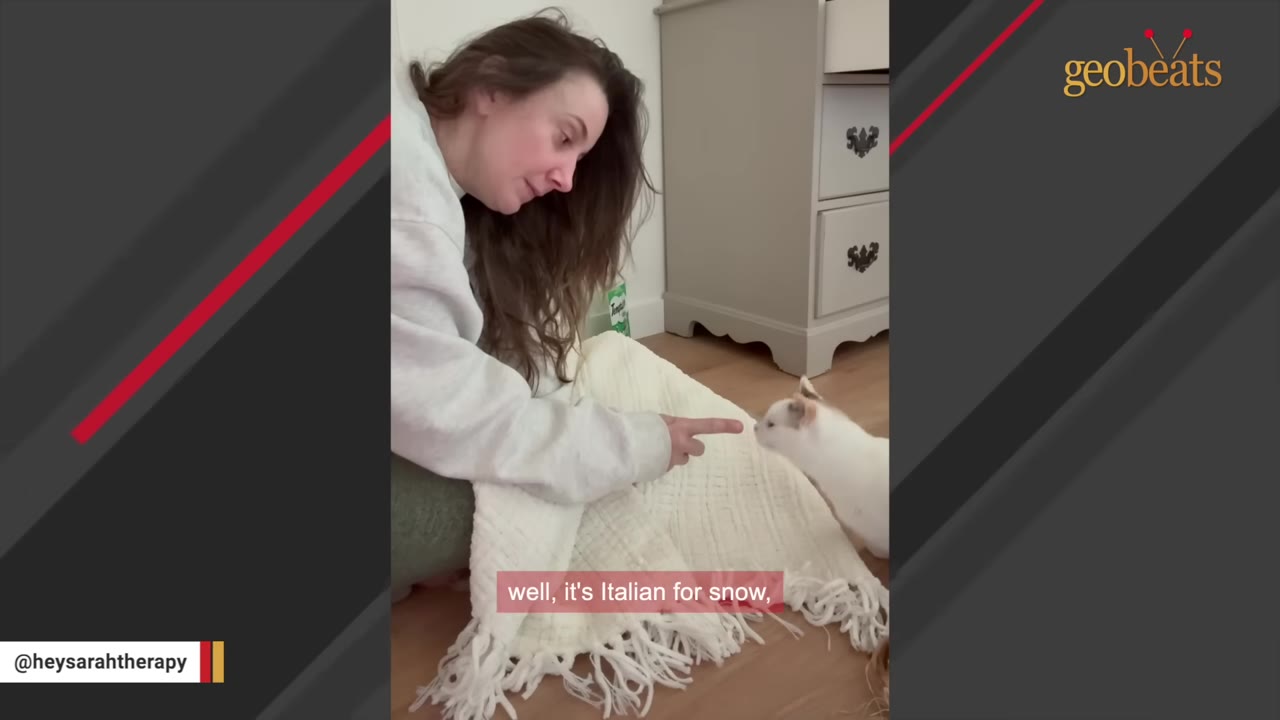 A woman sits on the floor wrapped in a white blanket, gently extending her index finger to let a small white cat sniff it.