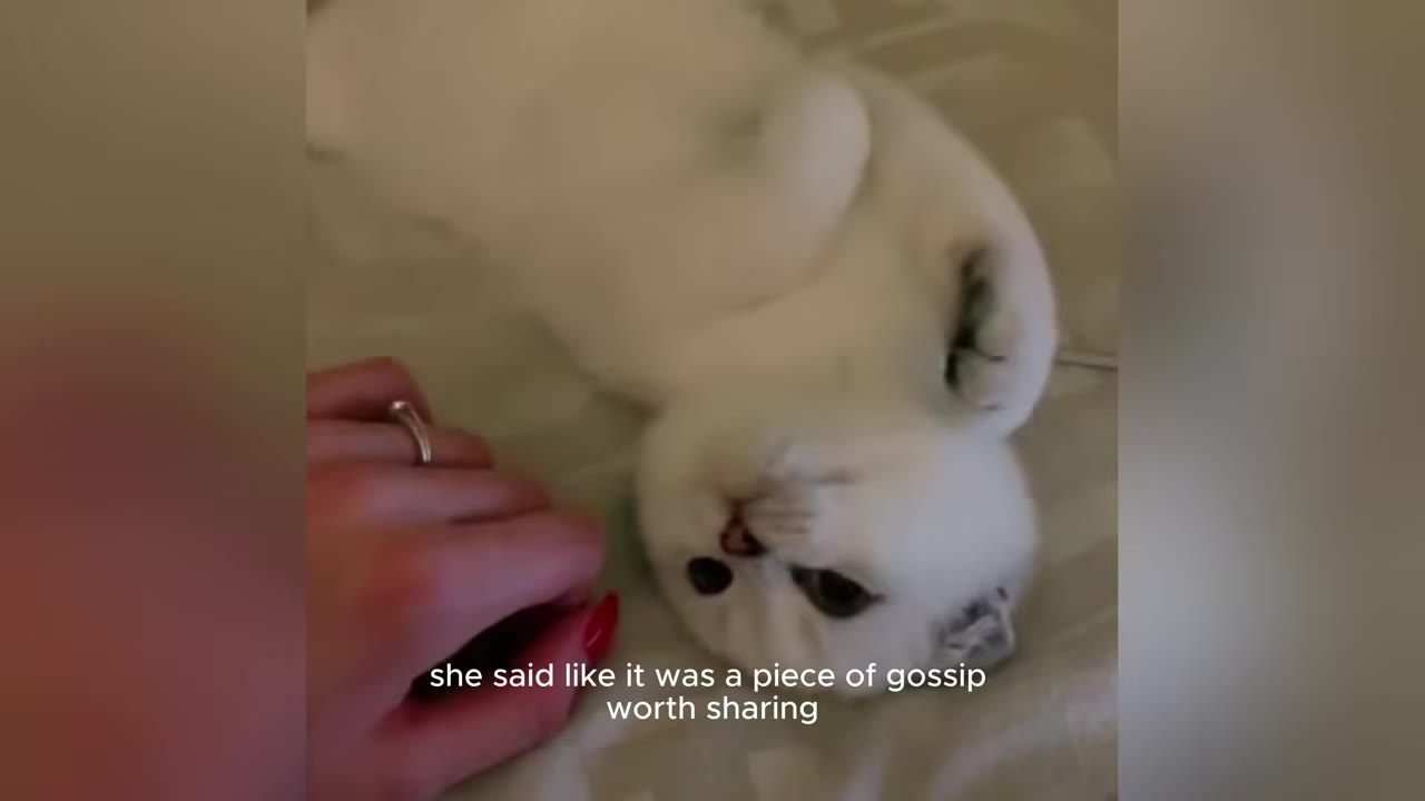 A white Scottish Fold cat lying upside down on its back next to a hand with red nail polish.