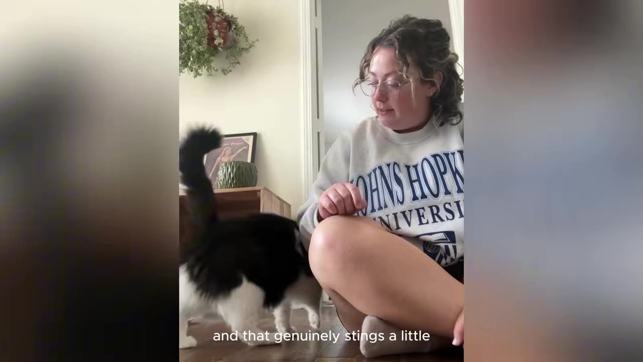 A woman with glasses and a grey Johns Hopkins University sweatshirt sits on the floor, looking thoughtfully towards a black and white cat.