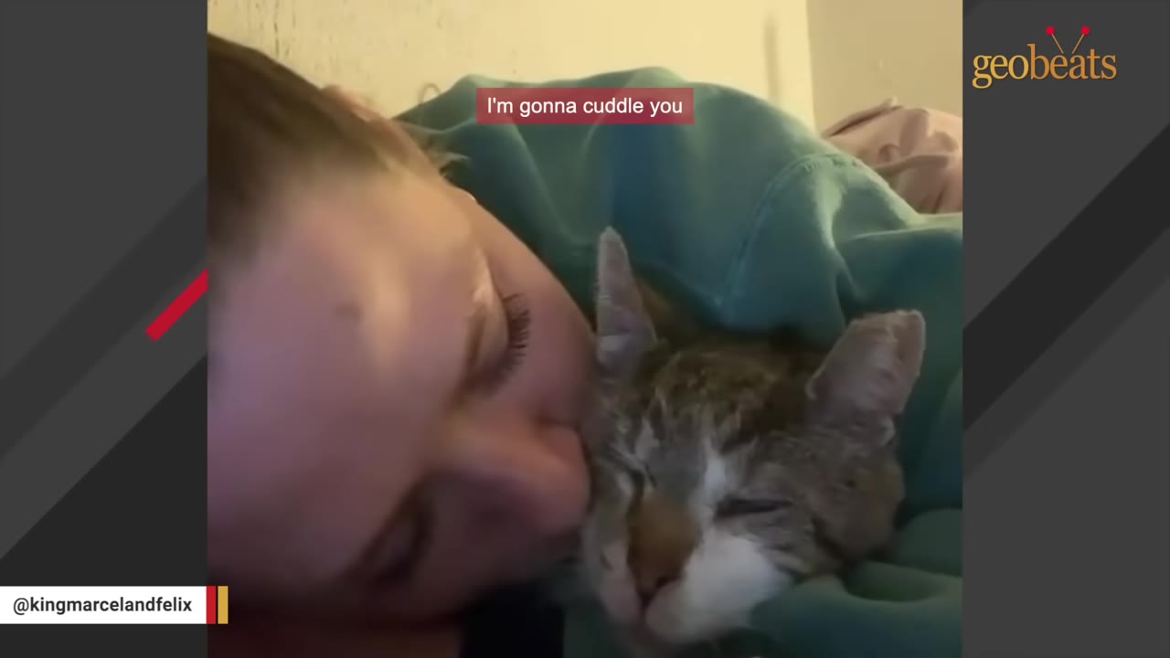 A close-up of a woman kissing a sleeping tabby and white cat wrapped in a green blanket.