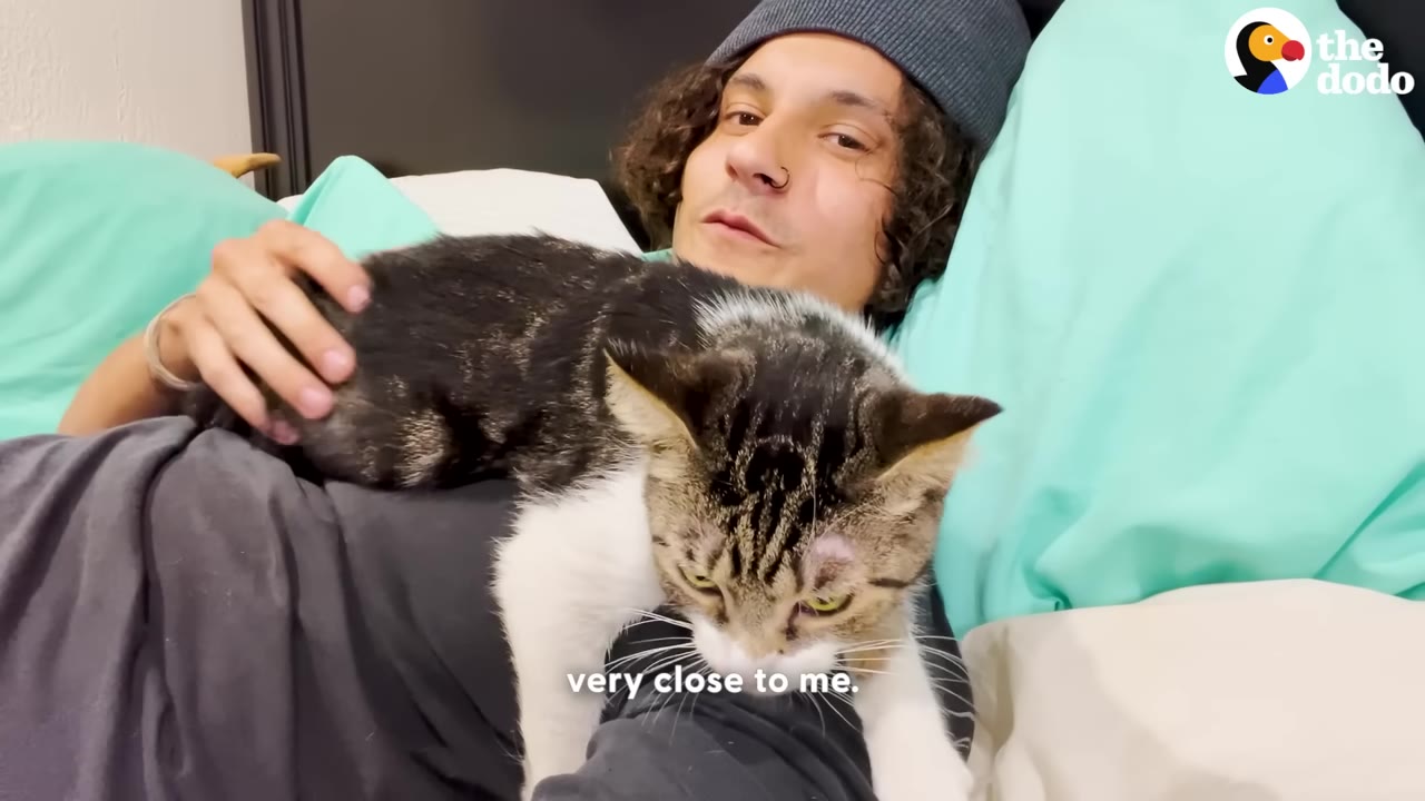 A tabby and white cat snuggles on the chest of a man wearing a grey beanie who is resting in bed against light green pillows, with his hand gently petting the cat's back.