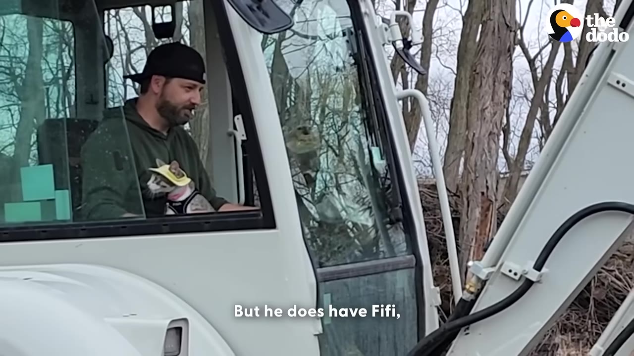 A man wearing a black baseball cap sits inside the cab of a white excavator, holding a small cat wearing a tiny yellow hat.
