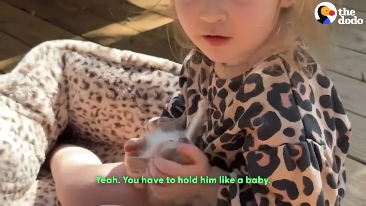 A young girl in a leopard-print shirt holds a small kitten on her lap while sitting next to a pet bed.