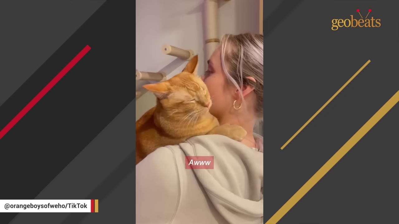 An orange cat rests its head on a woman's shoulder as she holds it close.