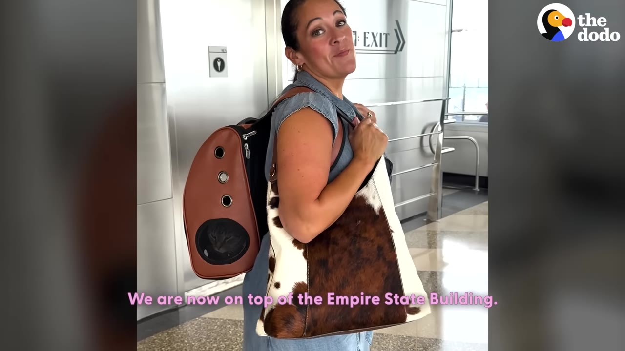 A woman stands indoors carrying a brown pet backpack with a cat visible inside the mesh window, alongside a cowhide-patterned shoulder bag.