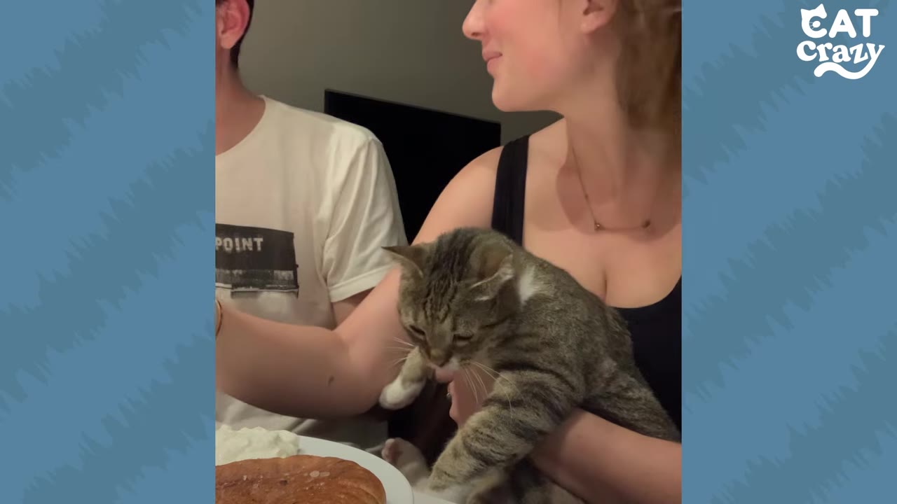 A tabby cat named Karen is held in a woman's arms at a dinner table next to a man, with a plate of food visible in the foreground.