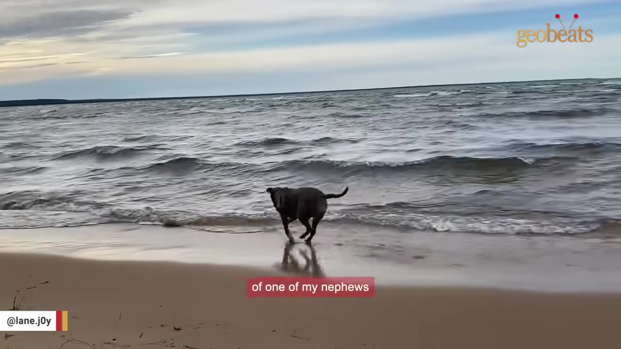 A dark-colored dog runs along a sandy beach toward the gentle waves of a large body of water under a cloudy sky.
