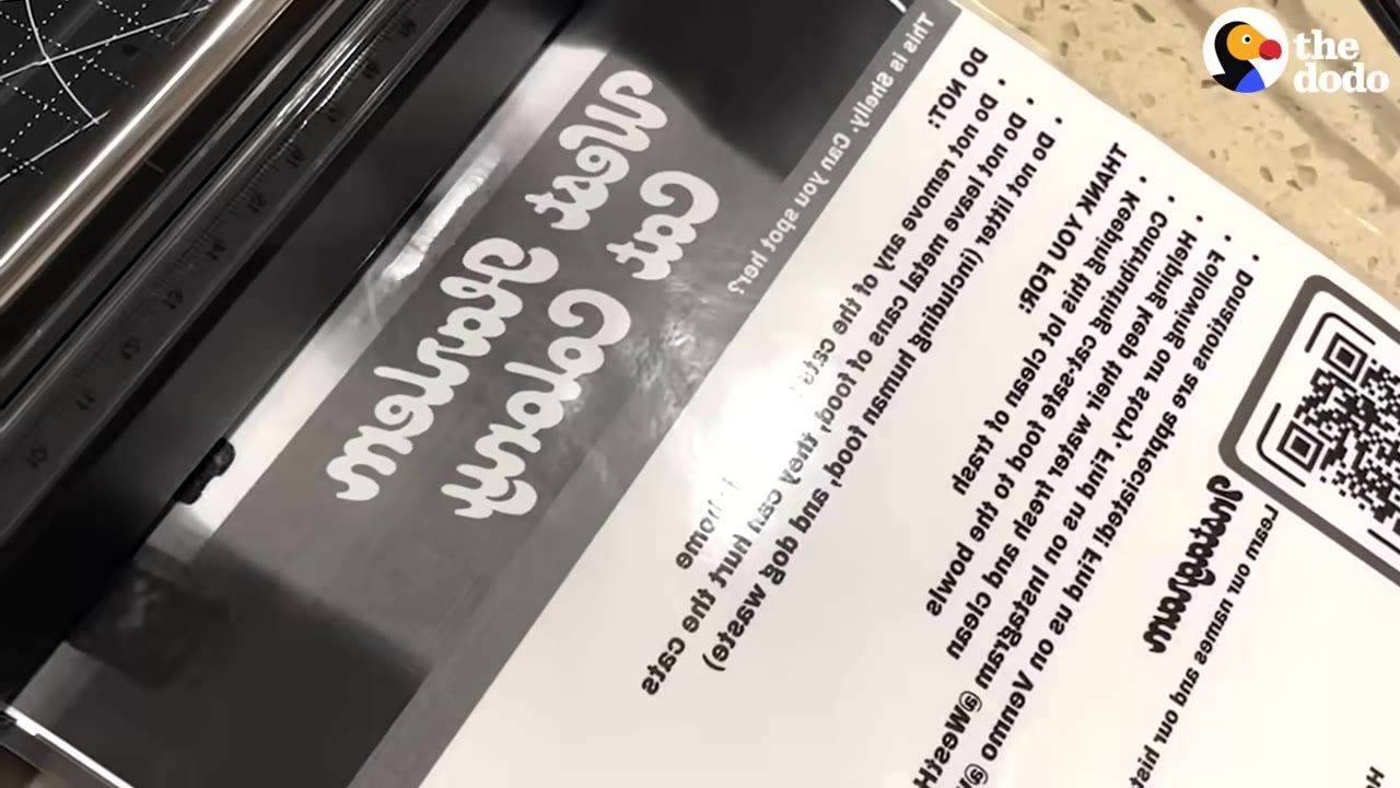 A printed flyer for the West Harlem Cat Colony being laminated.