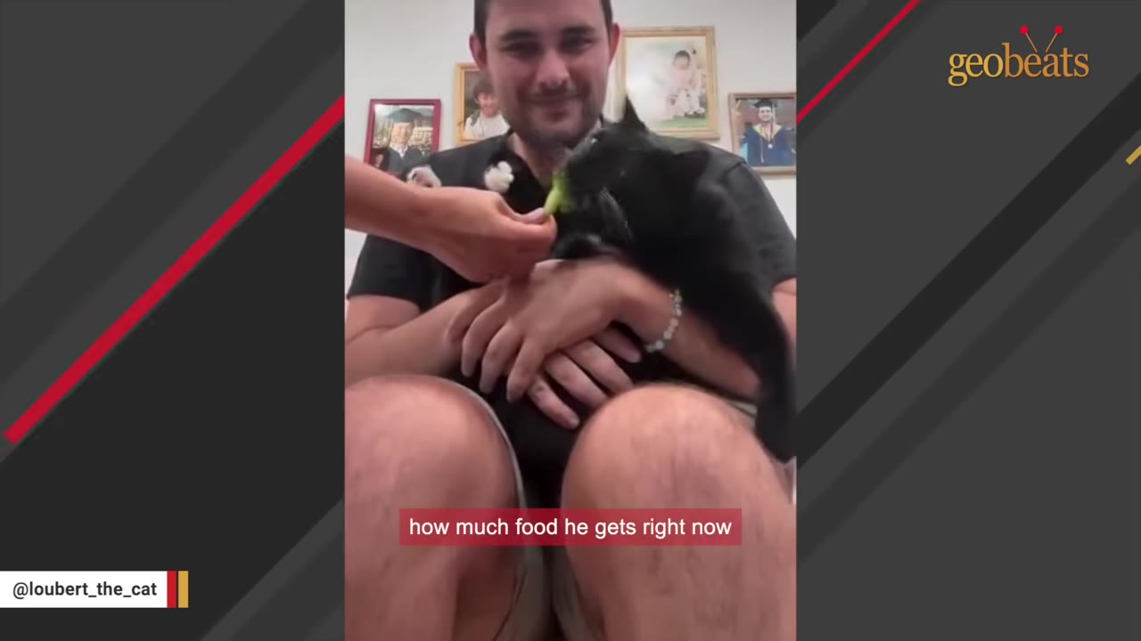 A man holds a black cat on his lap while a hand feeds the cat a small piece of broccoli.