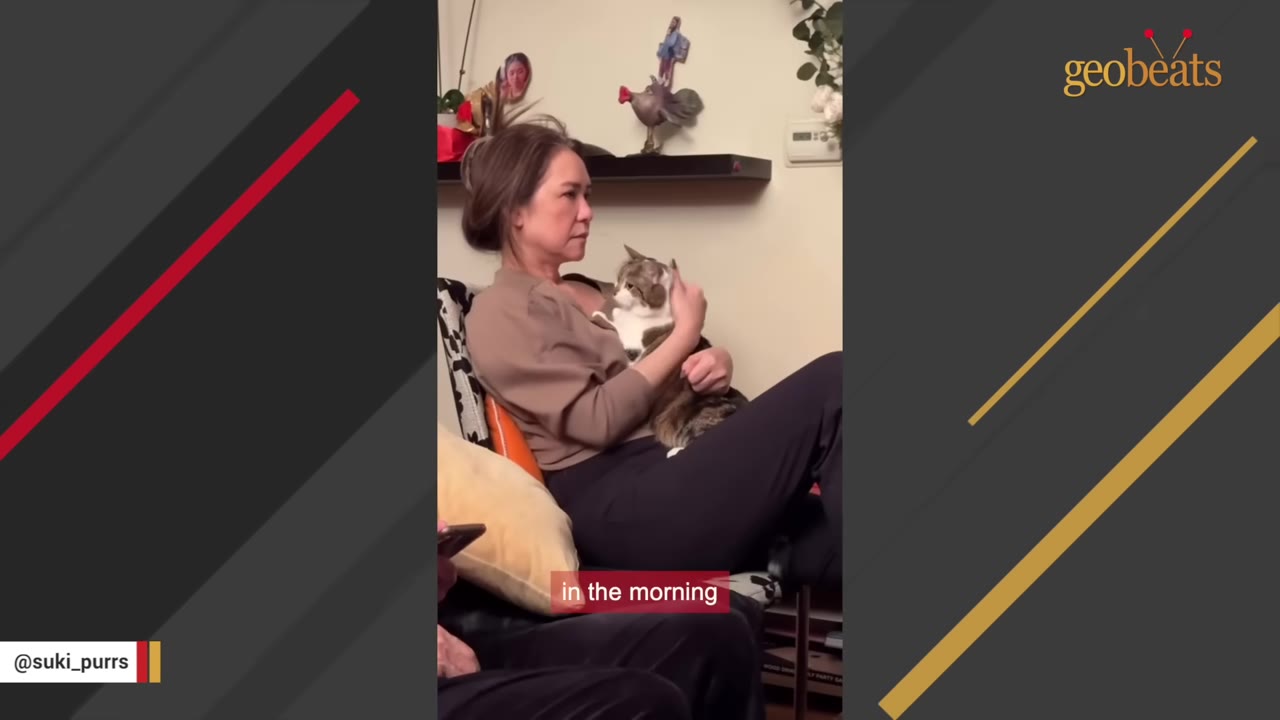 A woman sitting on a couch with a brown and white cat resting on her chest as she holds it.
