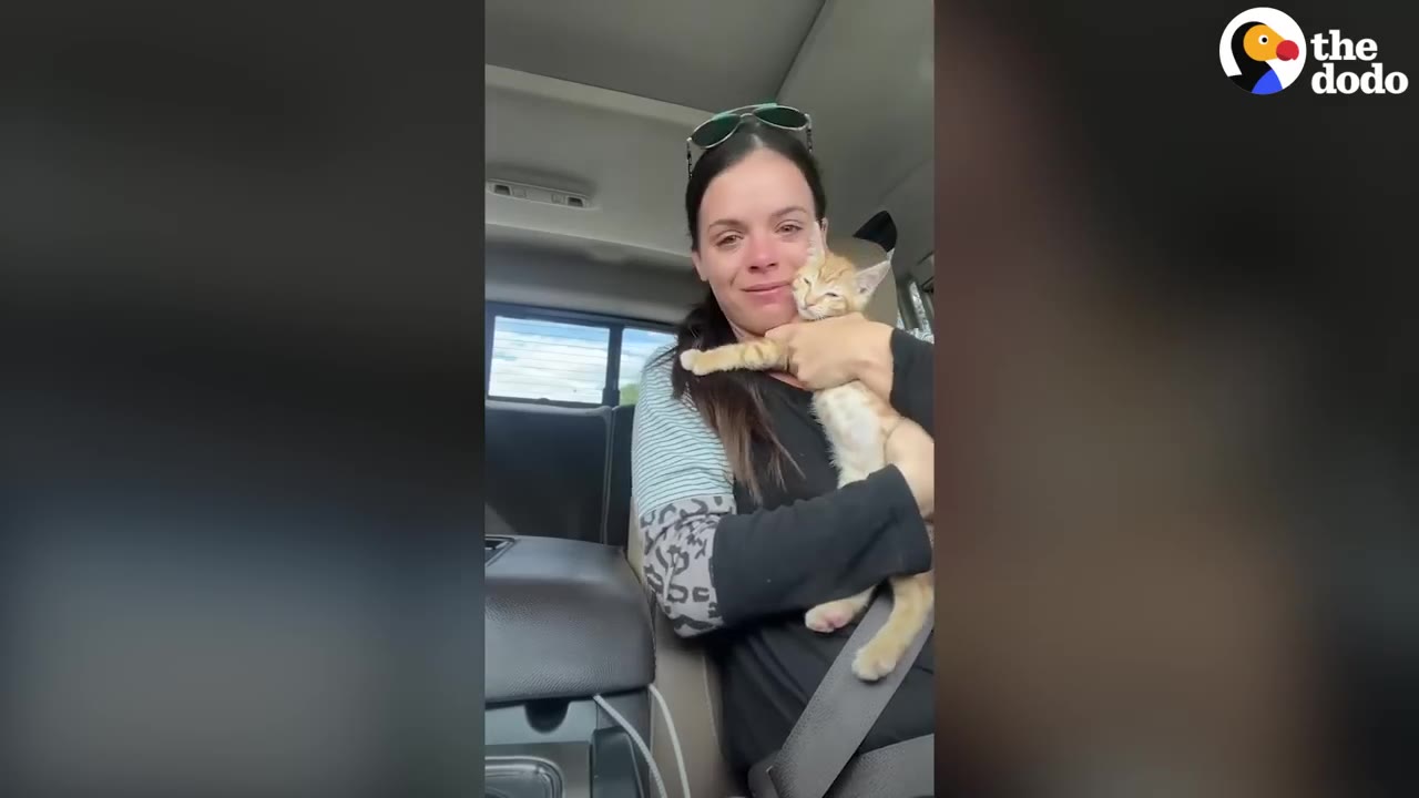 A woman with a tearful expression sits in a car holding an orange kitten close to her chest.