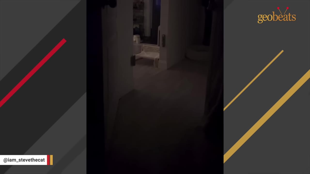 A dimly lit hallway at night, viewed from a dark doorway, showing a small pet bed in the background.