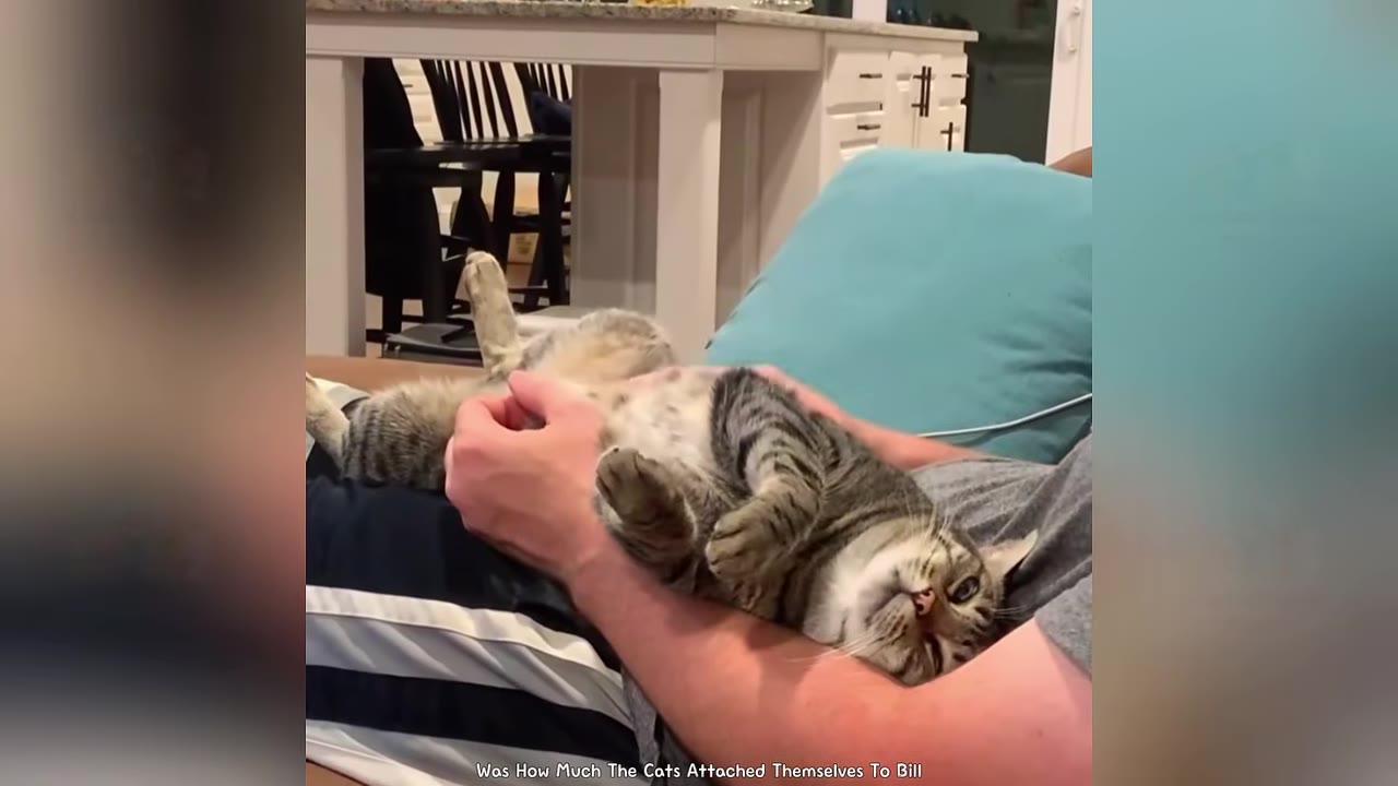 A tabby cat lying comfortably on its back in a man's arms while he cradles it on his lap.