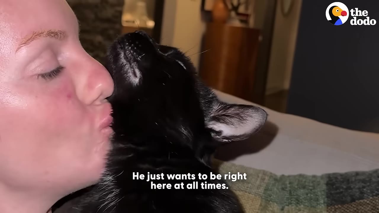 A close-up of a woman kissing a black cat on its cheek as the cat leans in close to her face.