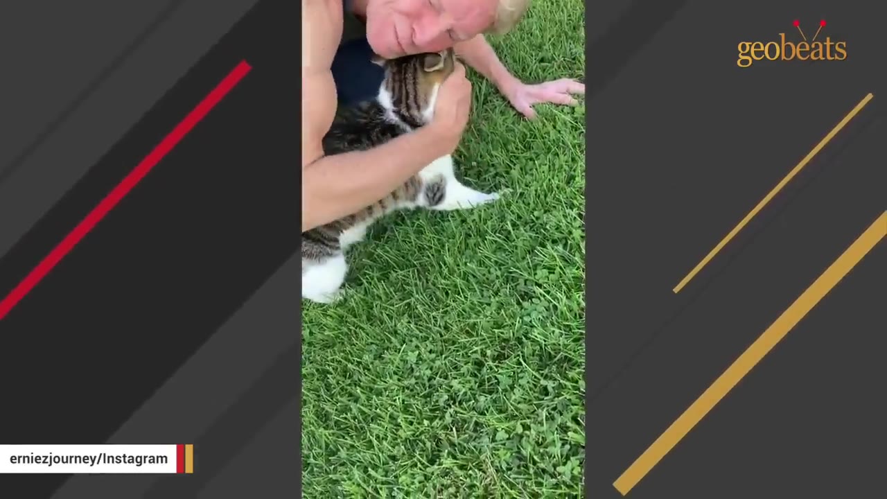 A man lying on the green grass cuddling and nuzzling a tabby and white cat.
