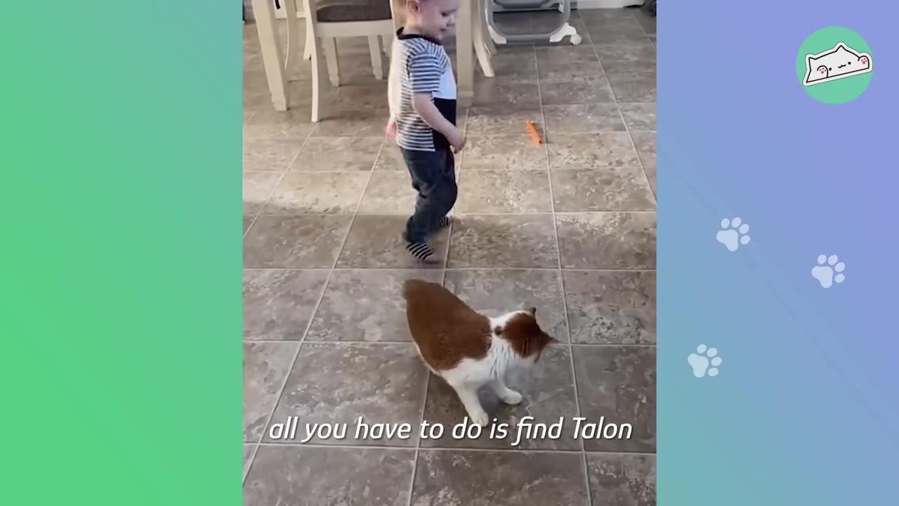 A young boy in a striped shirt and jeans stands on a tiled floor looking towards a ginger and white cat.