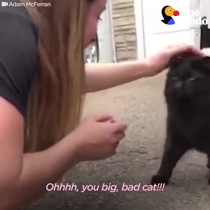 A woman with long blonde hair kneels down and gently pets a black cat on the head.