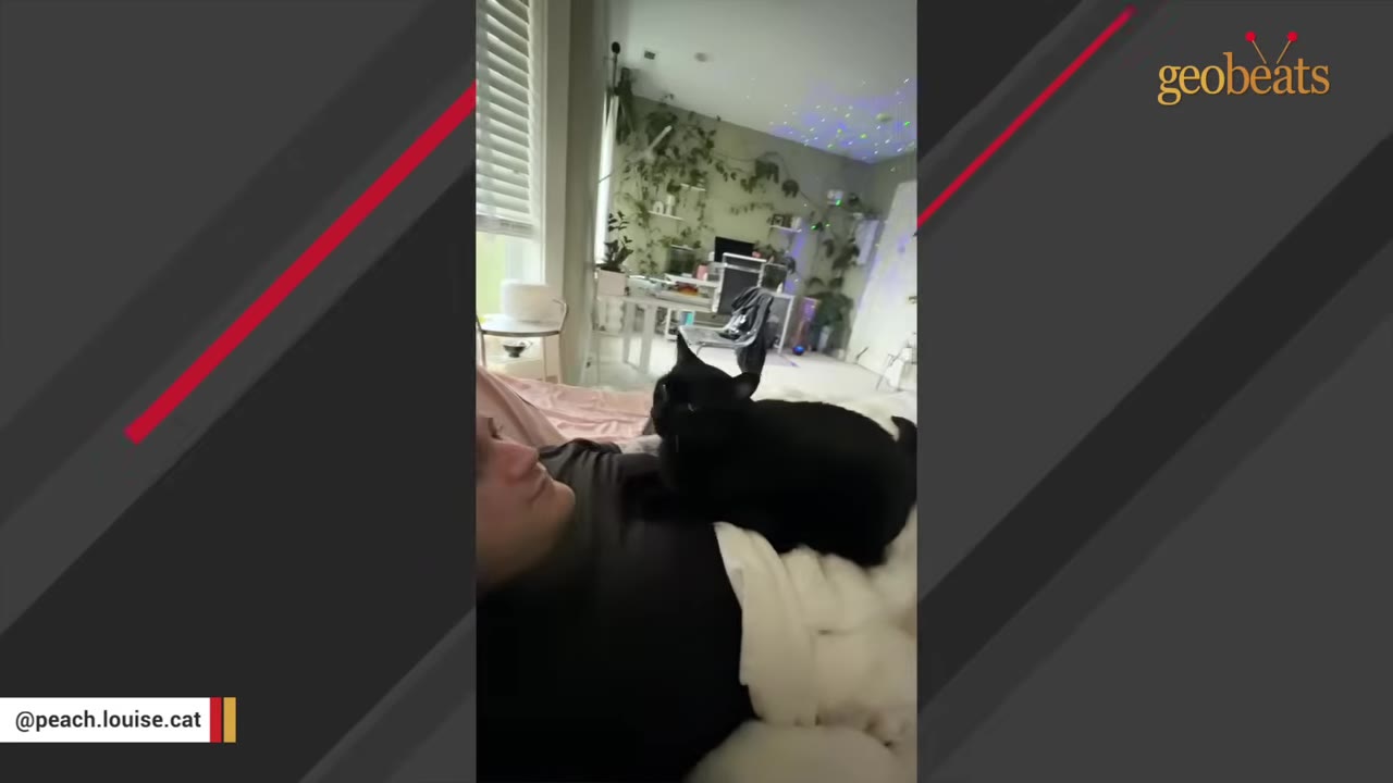 A black cat sits on the chest of a person lying in bed, looking towards them in a cozy room.